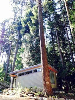 Nectar Yoga B&B On Bowen Island Horseshoe Bay Kültér fotó